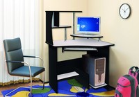 Компьютерный стол 9